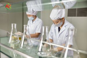 Hành trình phát triển sản phẩm thực vật của RV Nutrition