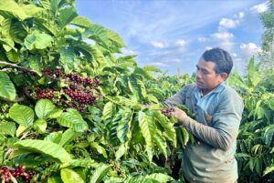 Thay đổi tư duy sản xuất